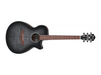 Ibanez AEG70-TCH Ibanez AEG70-TCH